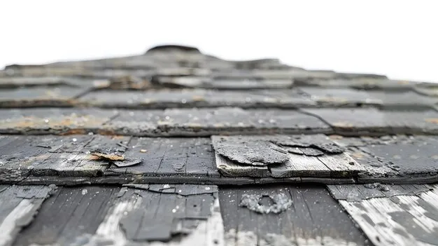 tiled roof - hail damage